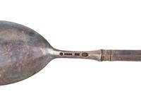 Seventeen Enameled Silver and Silver Gilt Serving Spoons and Souvenir Spoons