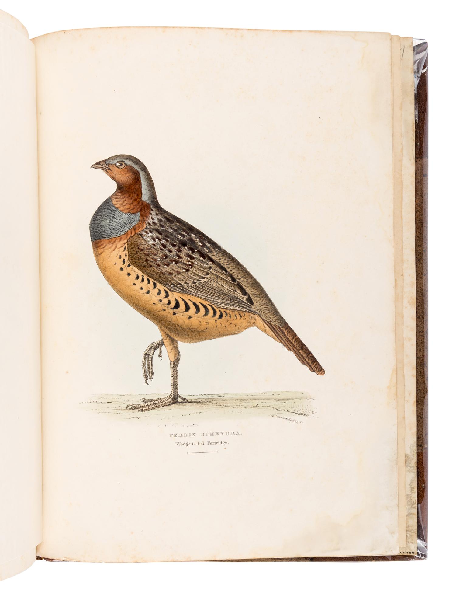 [GOULD, John, his copy]. GRAY, George Robert (1808-1872). A Fasciculus of the Birds of China . [London: privately printed, 1871.]