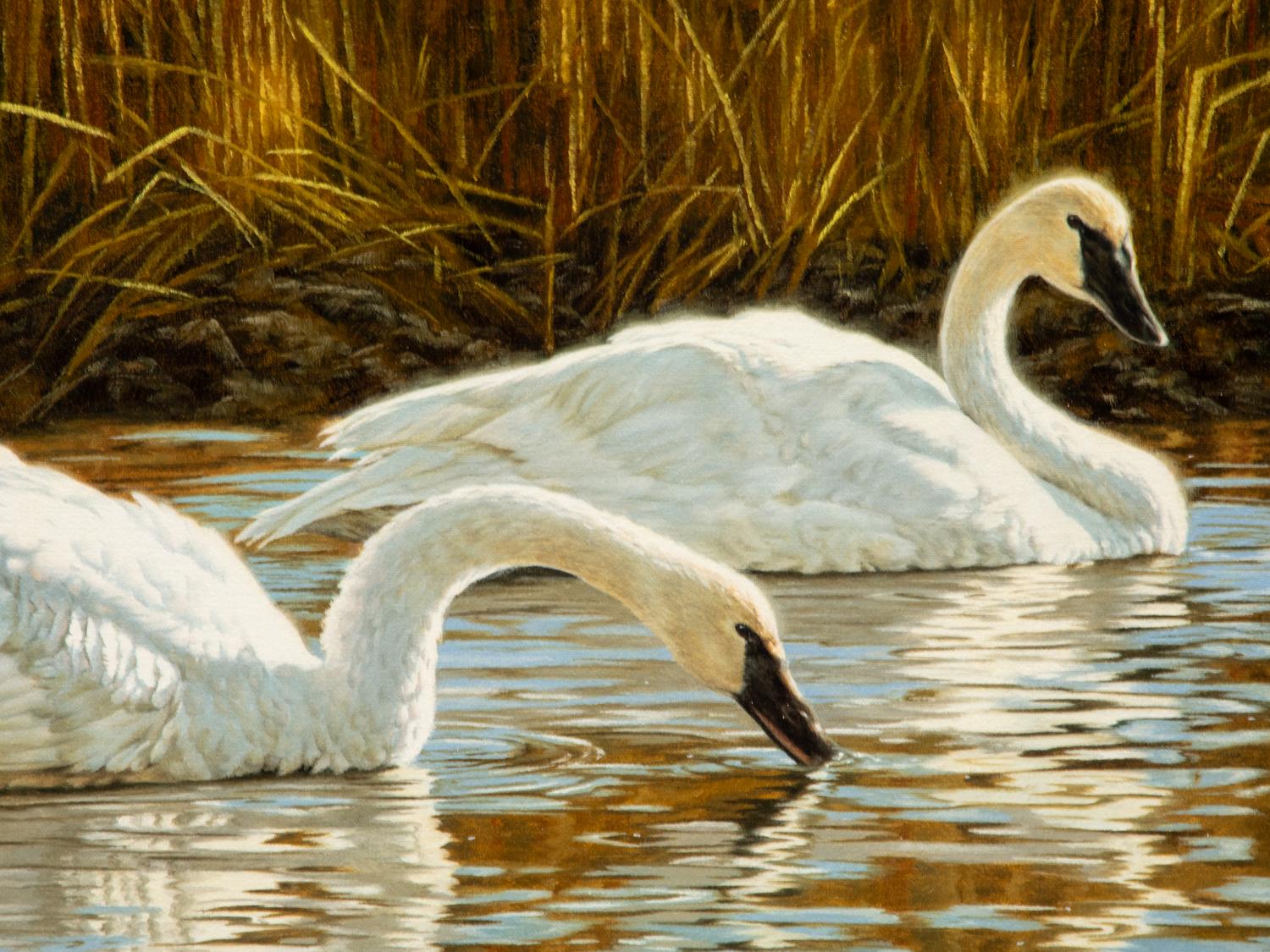 Flat Creek Duet