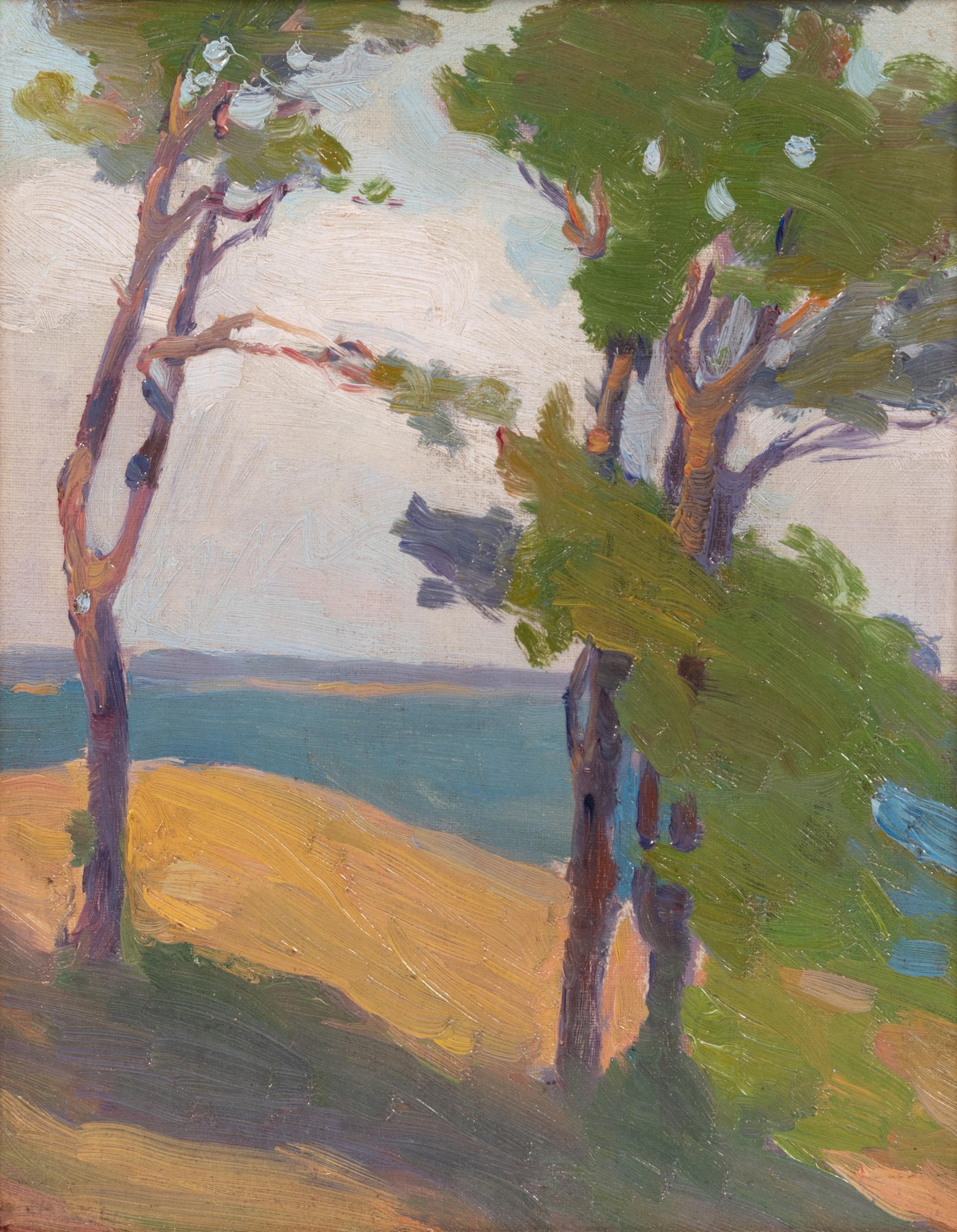 Trees on Seventeen Mile Drive, Carmel, California