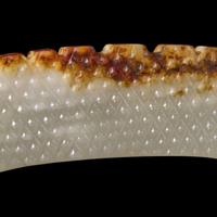 A White Jade Huang, Possibly Han Dynasty — 或為漢 白玉璜