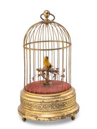 A Birdcage Automaton