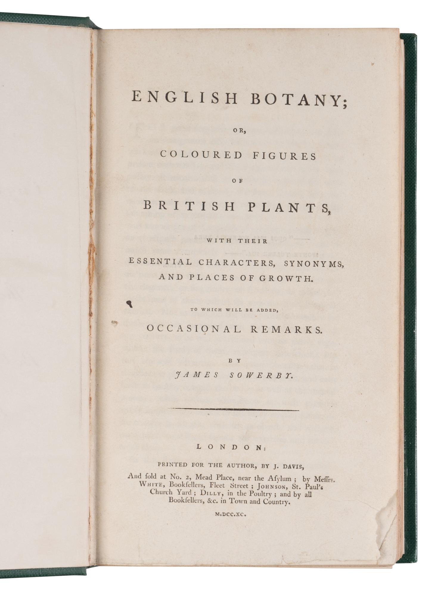 [NATURAL HISTORY]. SOWERBY, James (1757-1822). English Botany; or, Coloured Figures of British Plants ... London, 1790-1814; 1831-1849.