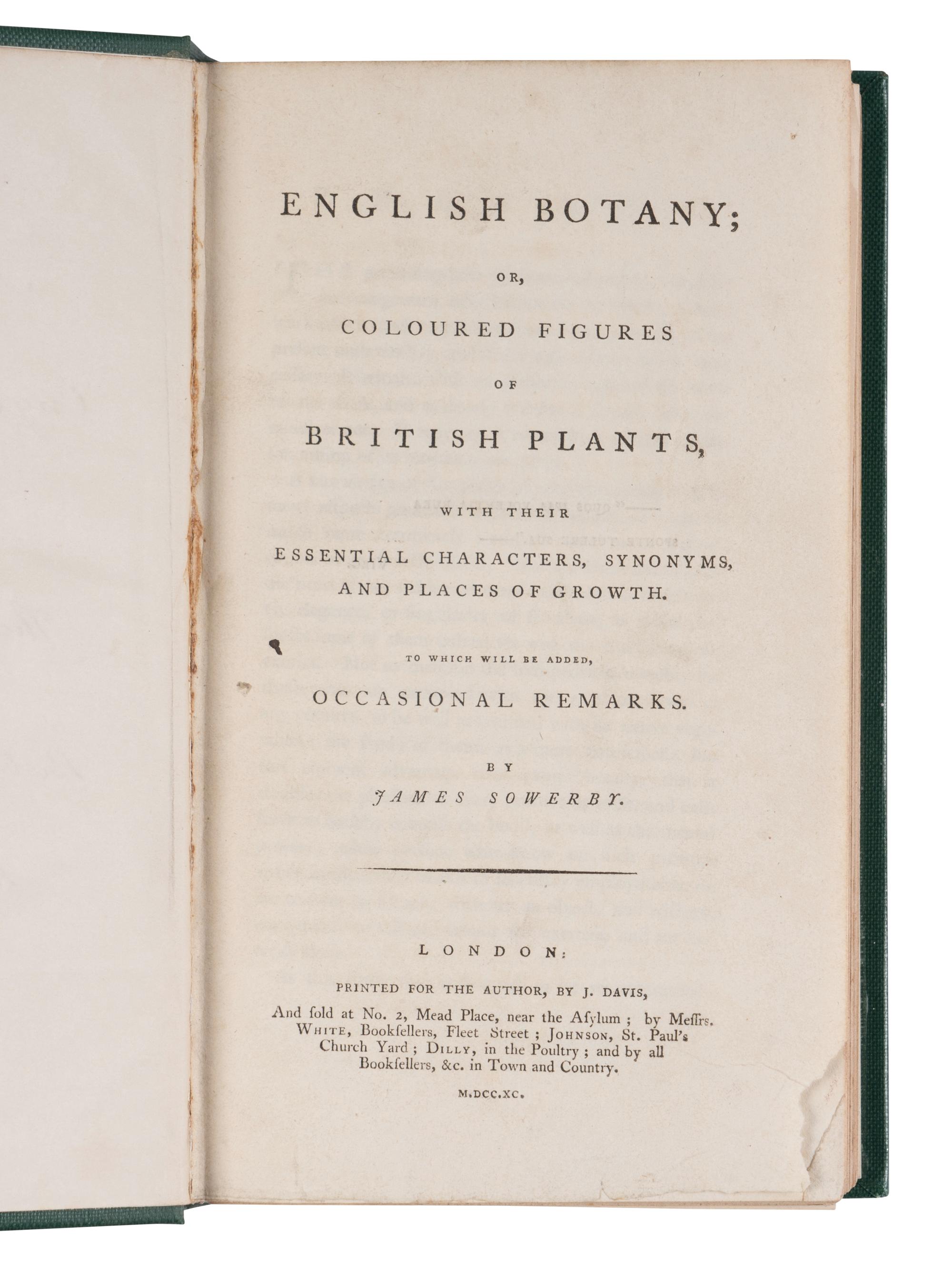 [NATURAL HISTORY]. SOWERBY, James (1757-1822). English Botany; or, Coloured Figures of British Plants ... London, 1790-1814; 1831-1849.