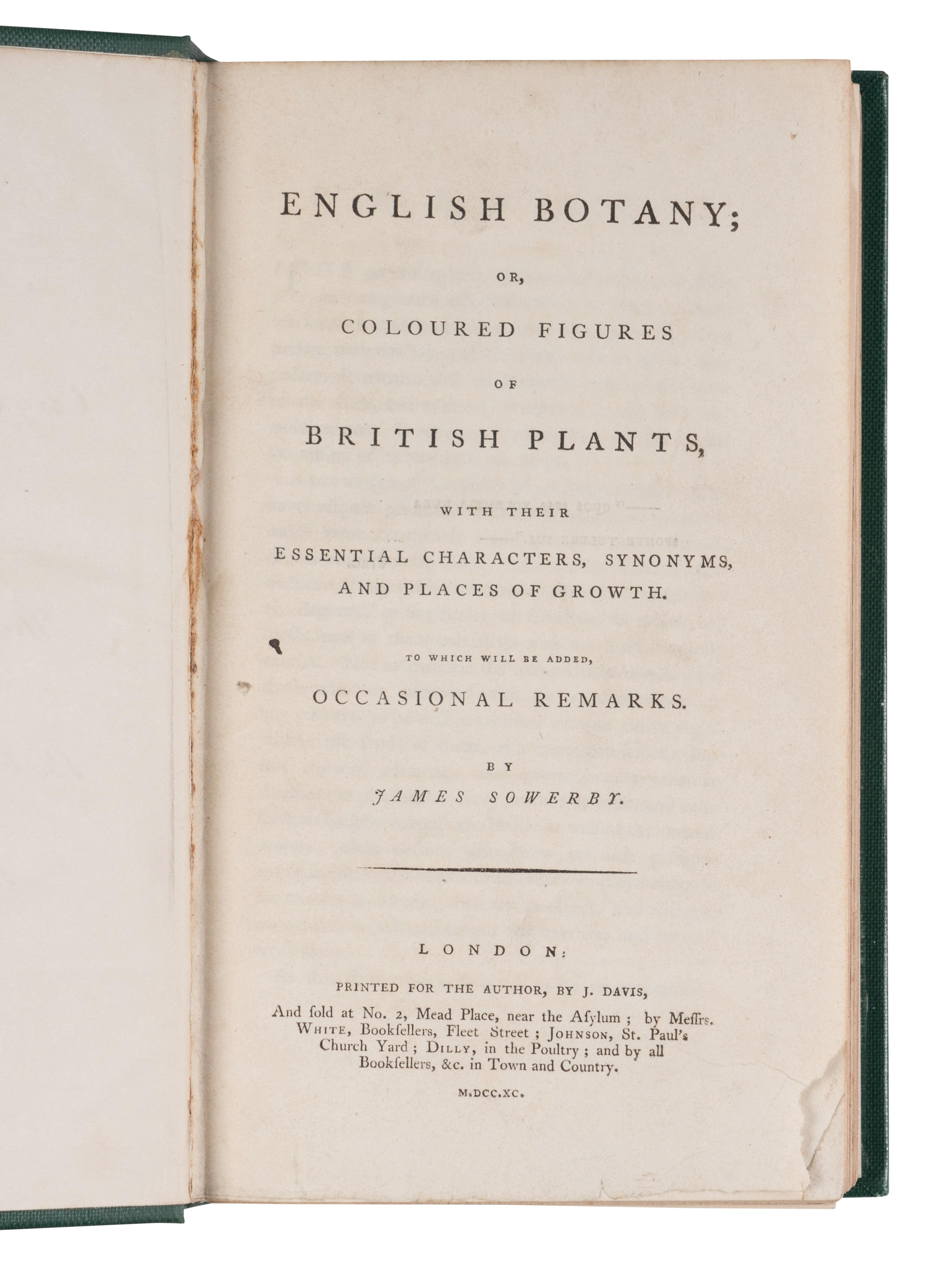 [NATURAL HISTORY]. SOWERBY, James (1757-1822). English Botany; or, Coloured Figures of British Plants ... London, 1790-1814; 1831-1849.