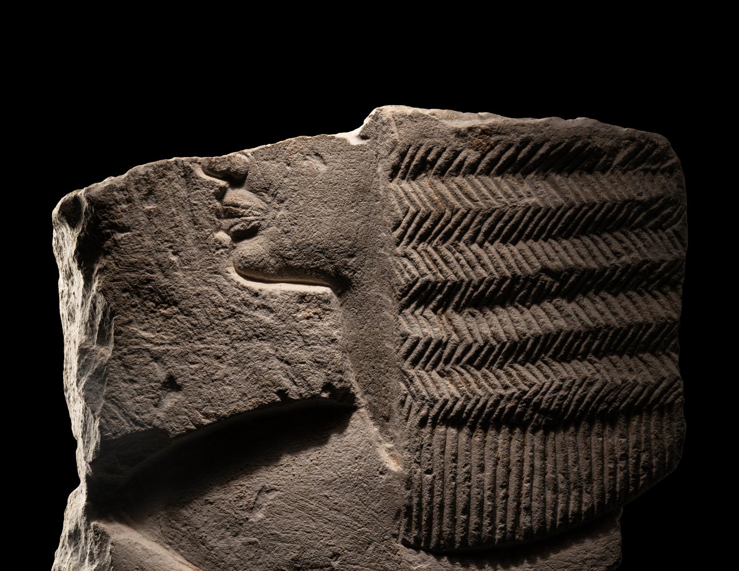 An Egyptian Limestone Relief Fragment