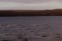 Untitled (Dock at Dusk)