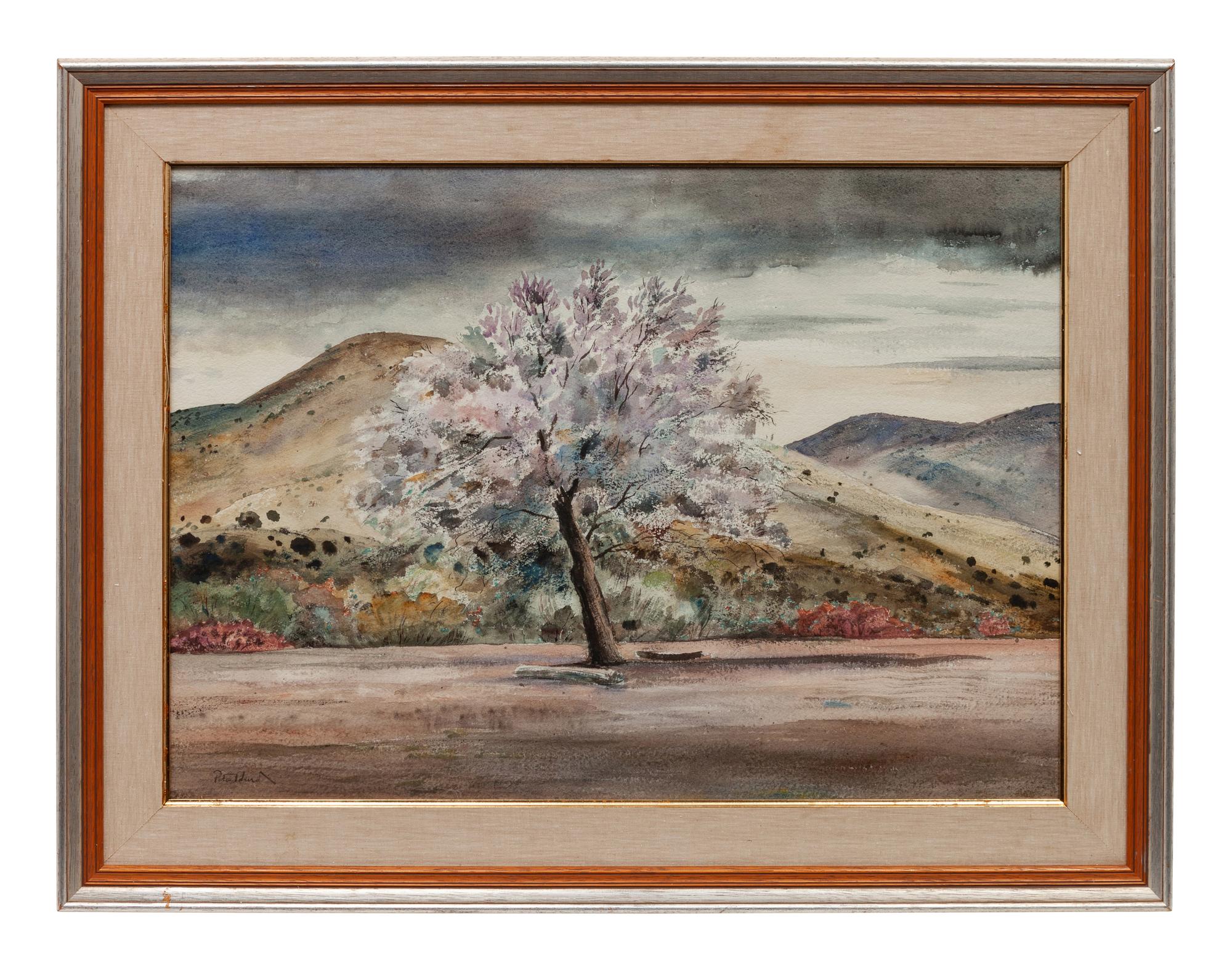 Apple Tree