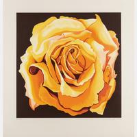 Eight prints (with portfolio case), 1980-1985