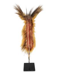 Plains Porcupine Hair Roach