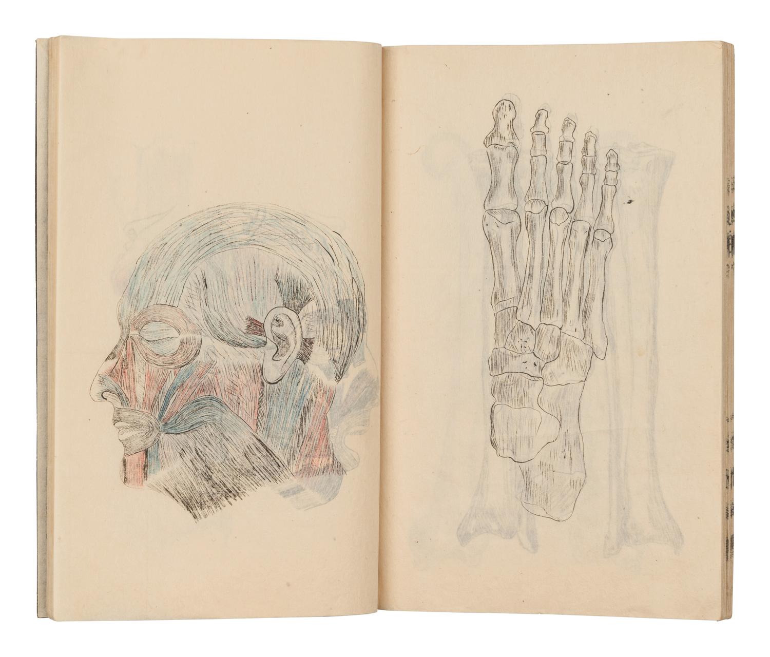[MEDICINE -- MANUSCRIPT]. Collection of lecture notebooks from courses taken in anatomy, materia medica and other medical subjects at the Kyoto Imperial University. [Kyoto, 1900].
