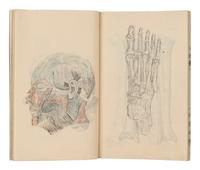 [MEDICINE -- MANUSCRIPT]. Collection of lecture notebooks from courses taken in anatomy, materia medica and other medical subjects at the Kyoto Imperial University. [Kyoto, 1900].