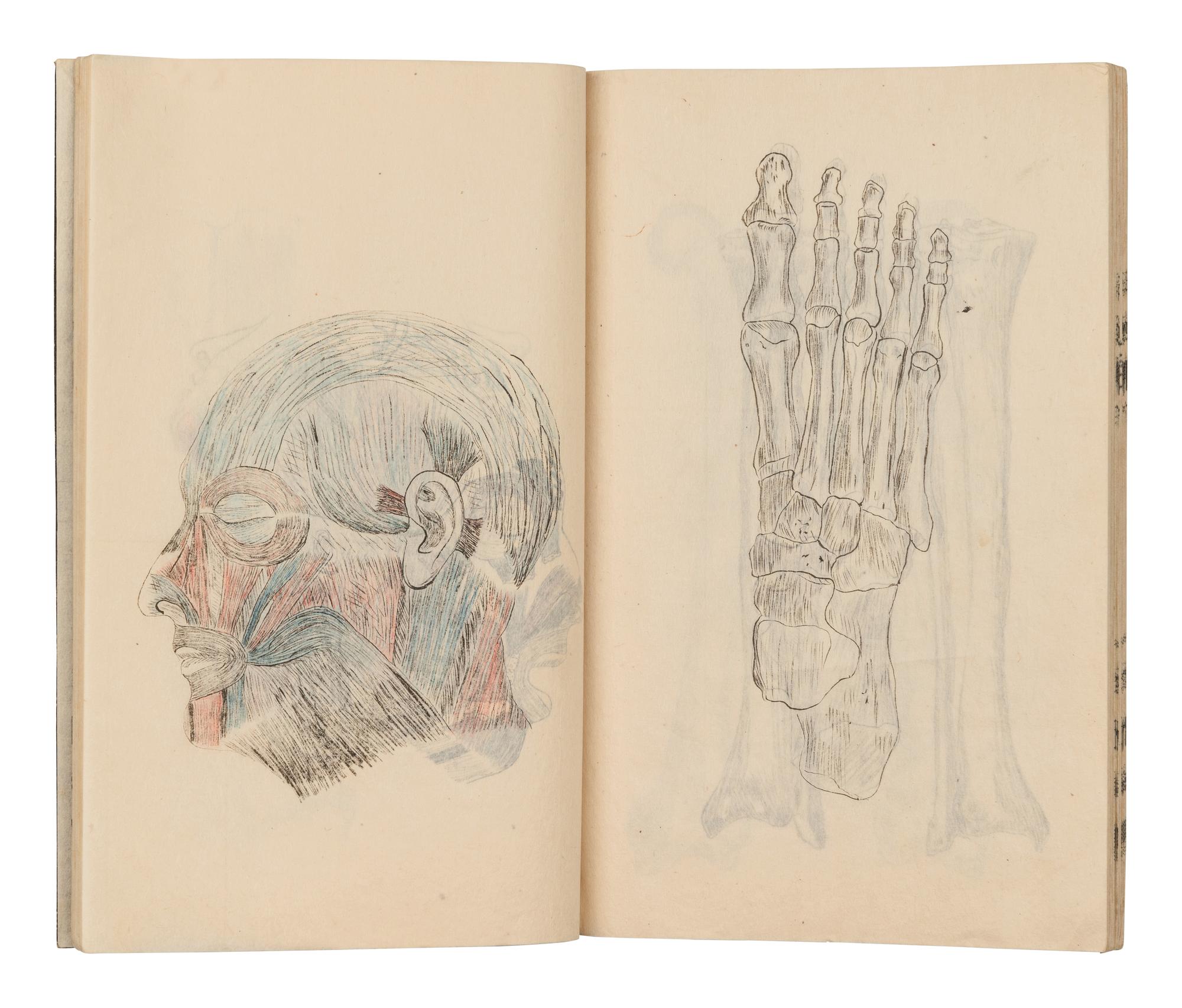 [MEDICINE -- MANUSCRIPT]. Collection of lecture notebooks from courses taken in anatomy, materia medica and other medical subjects at the Kyoto Imperial University. [Kyoto, 1900].