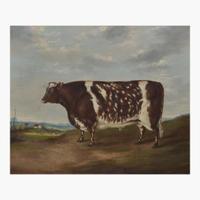 British School (19th Century) Prize Ayrshire Cow, Facing Left