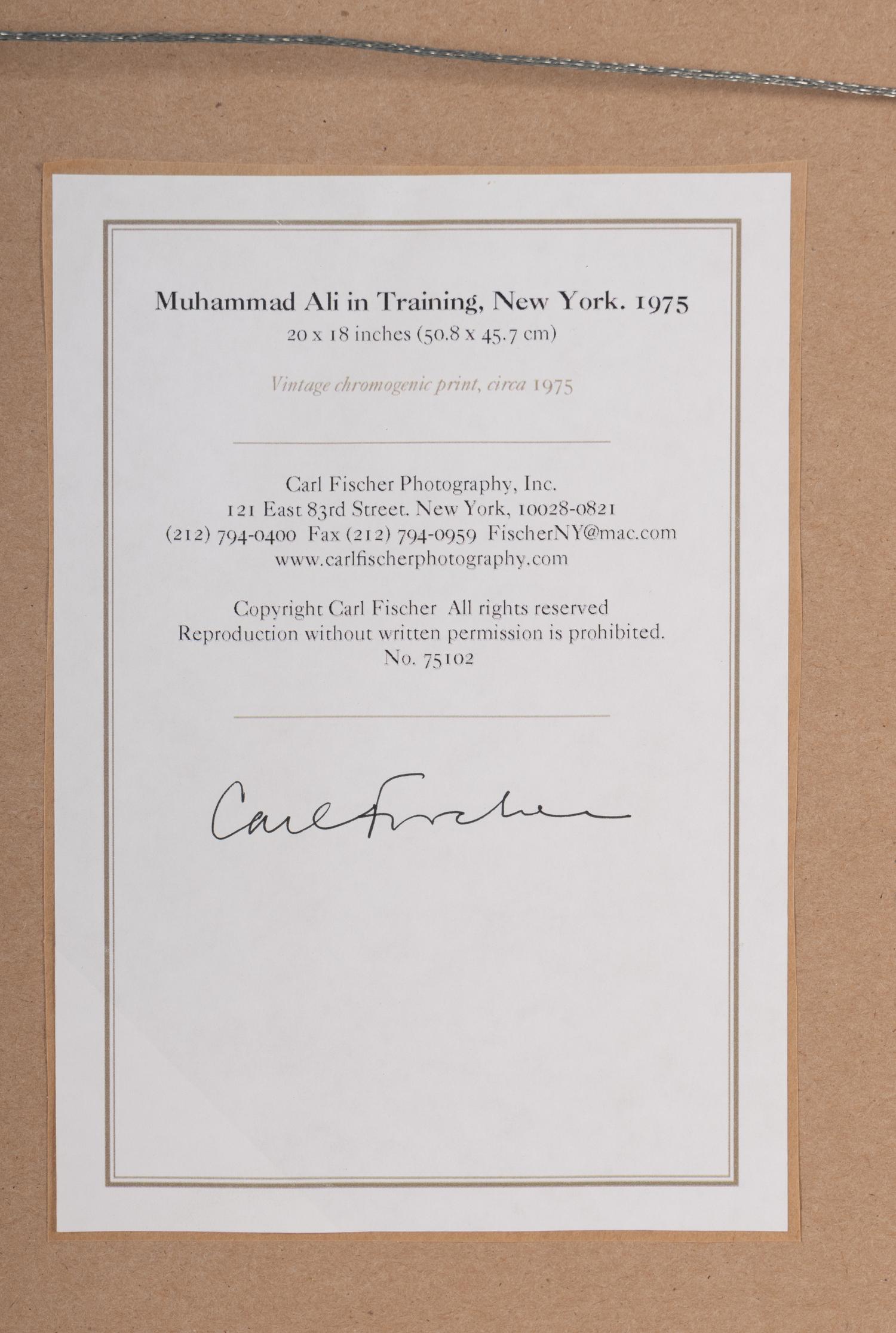 An Original Chromogenic 1975 Print of Muhammad Ali by Carl Fischer (Used for Ali-Frazier III Closed Circuit Program)