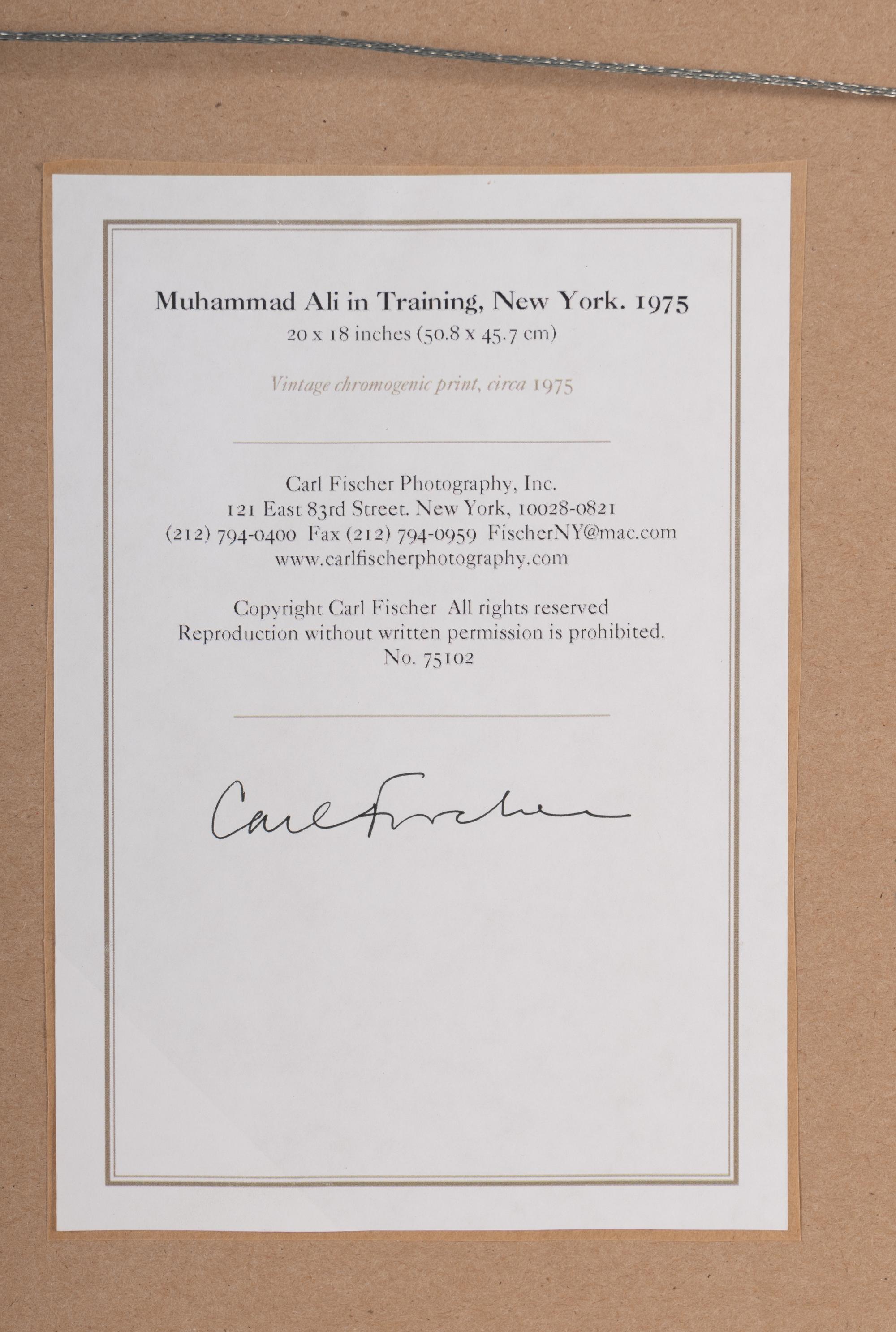 An Original Chromogenic 1975 Print of Muhammad Ali by Carl Fischer (Used for Ali-Frazier III Closed Circuit Program)