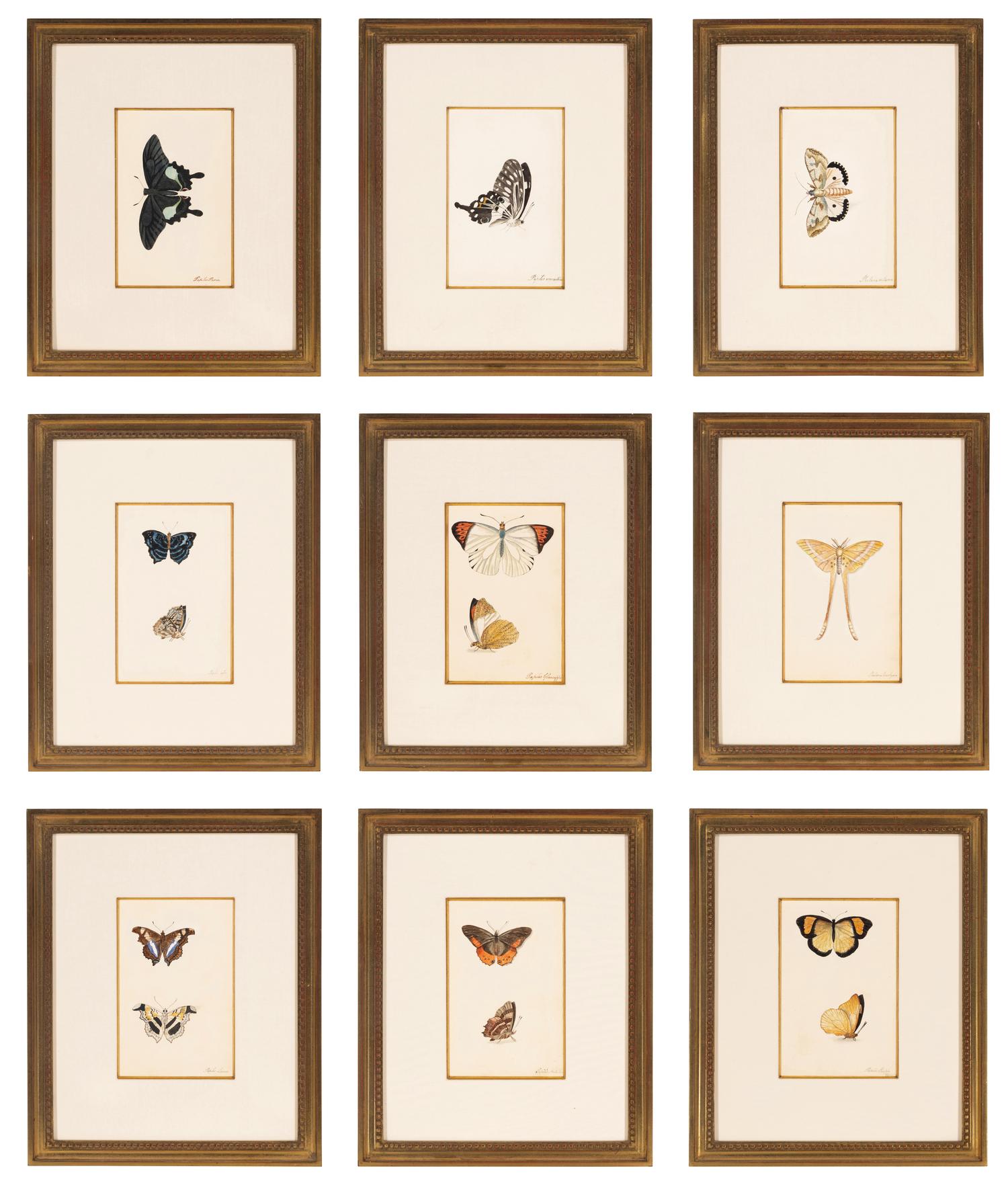 A Collection of Nine Framed Watercolors of Butterflies