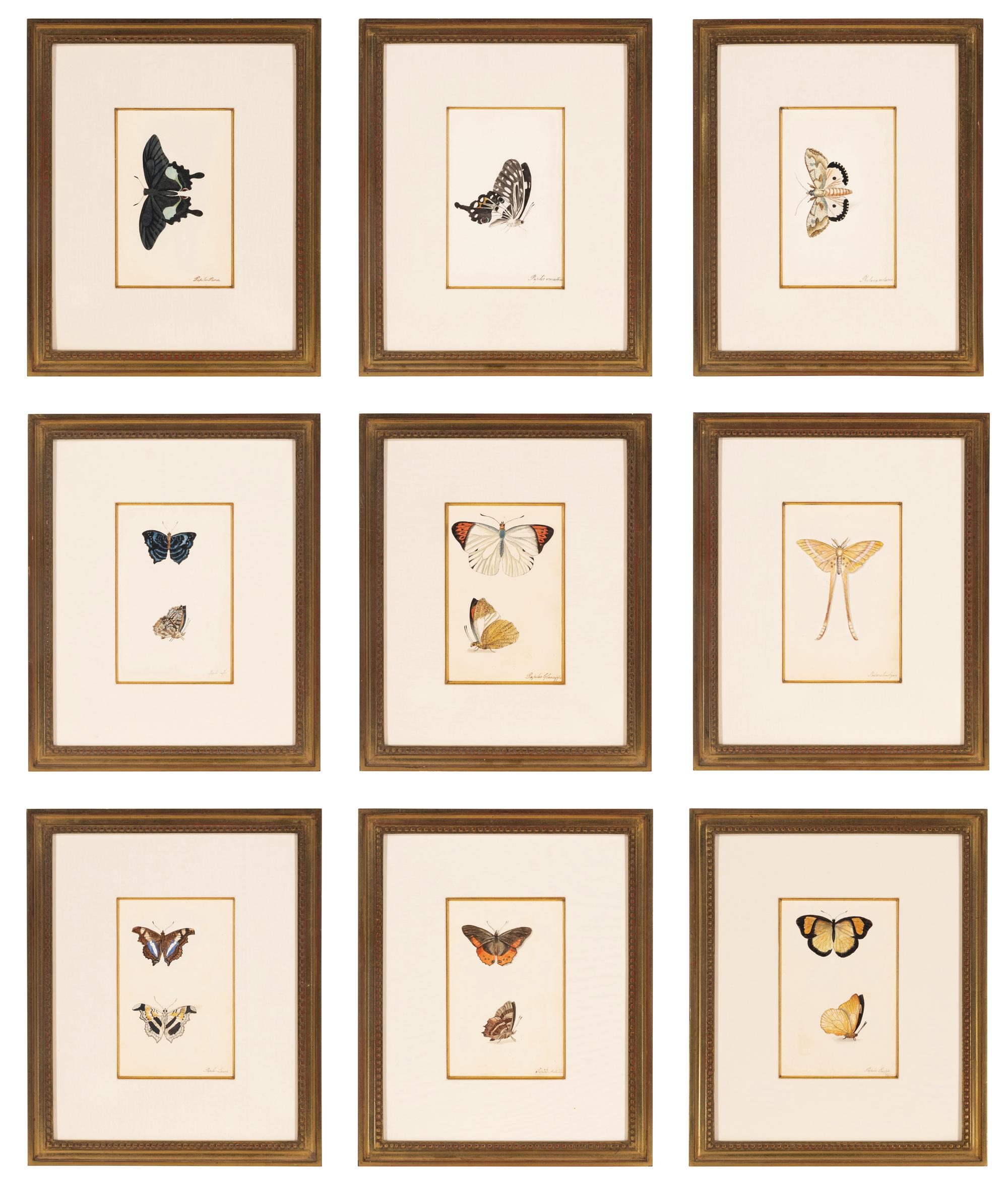 A Collection of Nine Framed Watercolors of Butterflies