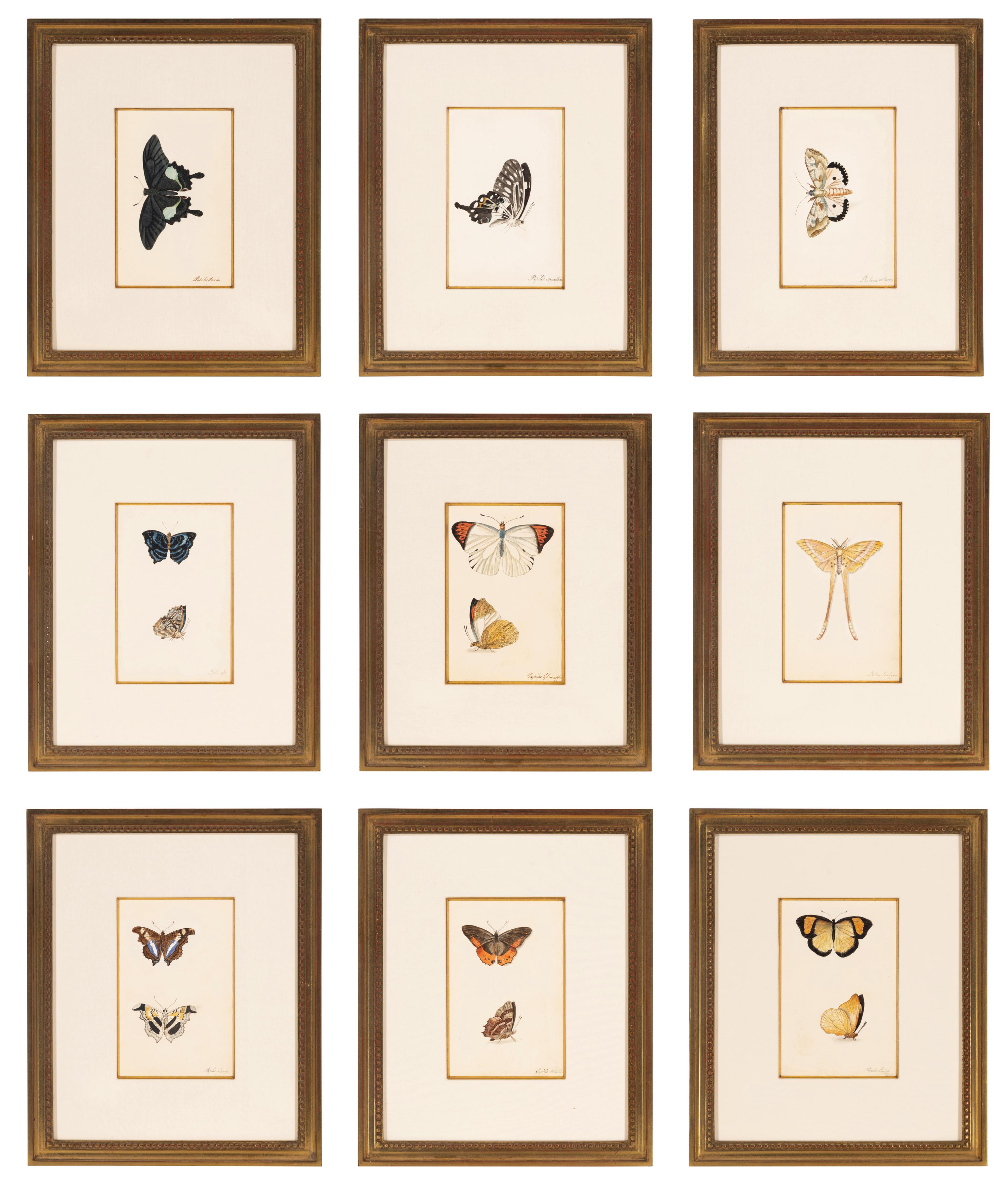 A Collection of Nine Framed Watercolors of Butterflies