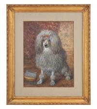 Seated Gray Poodle, 1911