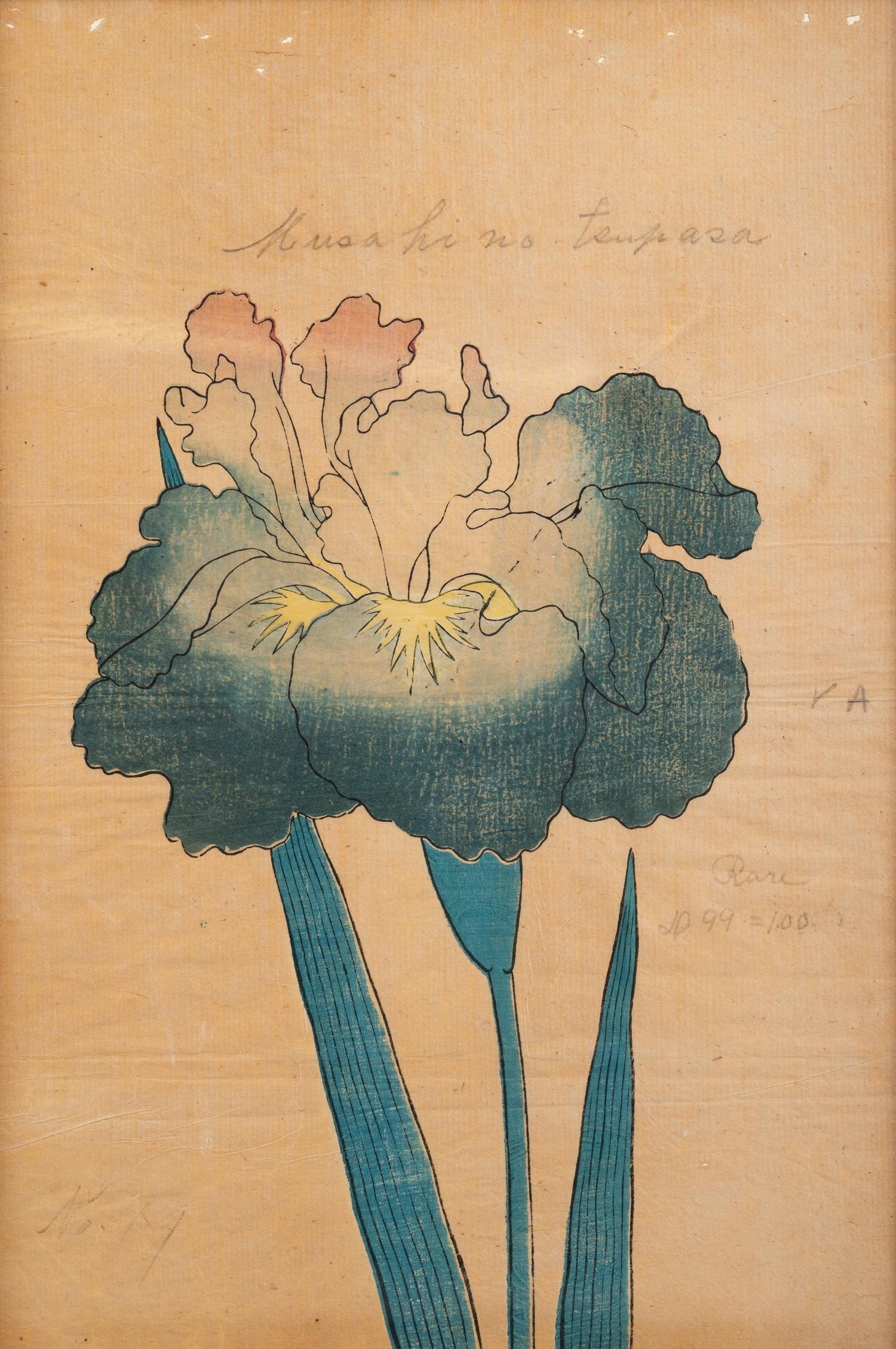 A Group of Six Japanese Color Lithographs from the Yokohama Seed Company