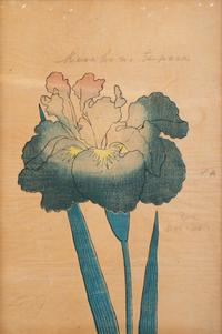A Group of Six Japanese Color Lithographs from the Yokohama Seed Company
