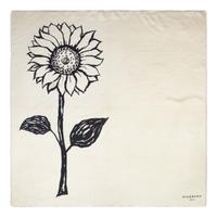 Five Designer Silk Scarves