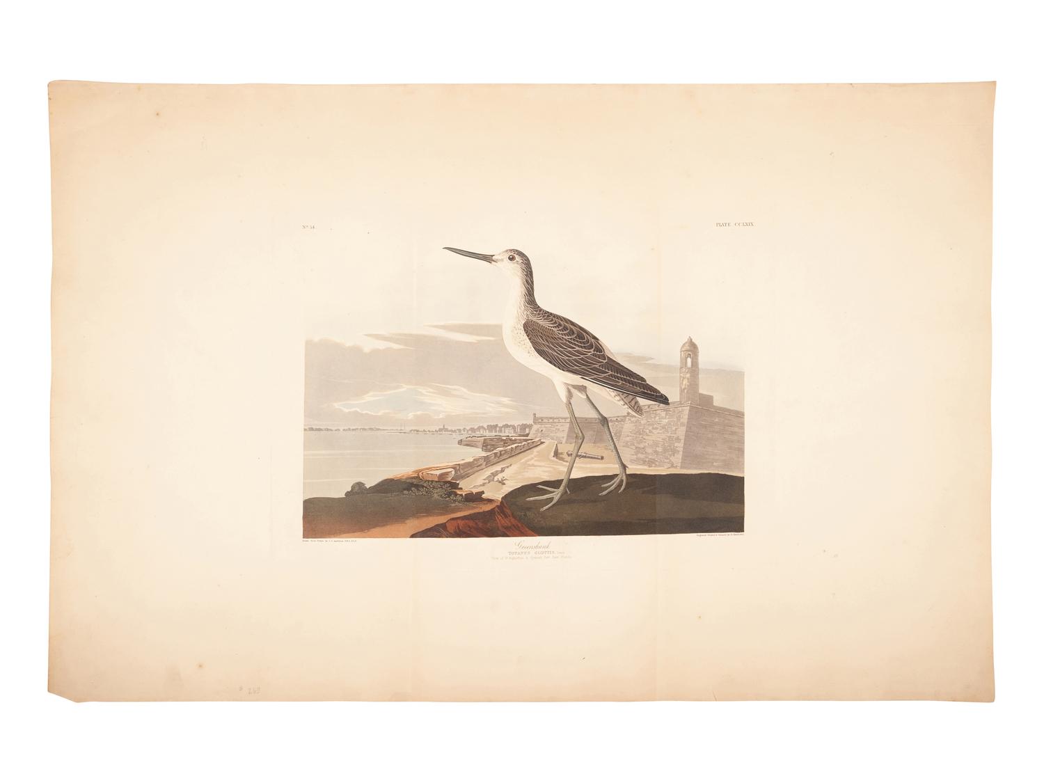 AUDUBON, John James (1785-1851).