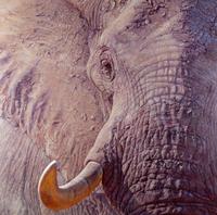 Tusk