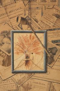 Tromp l'oeil of documents, dried herbs and a pipe hanging from a string on a nail