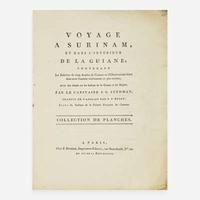 [Travel & Exploration] Stedman, J(ohn). G(abriel). Voyage a Suriname, et dans l'Interieur de la Guiane...
