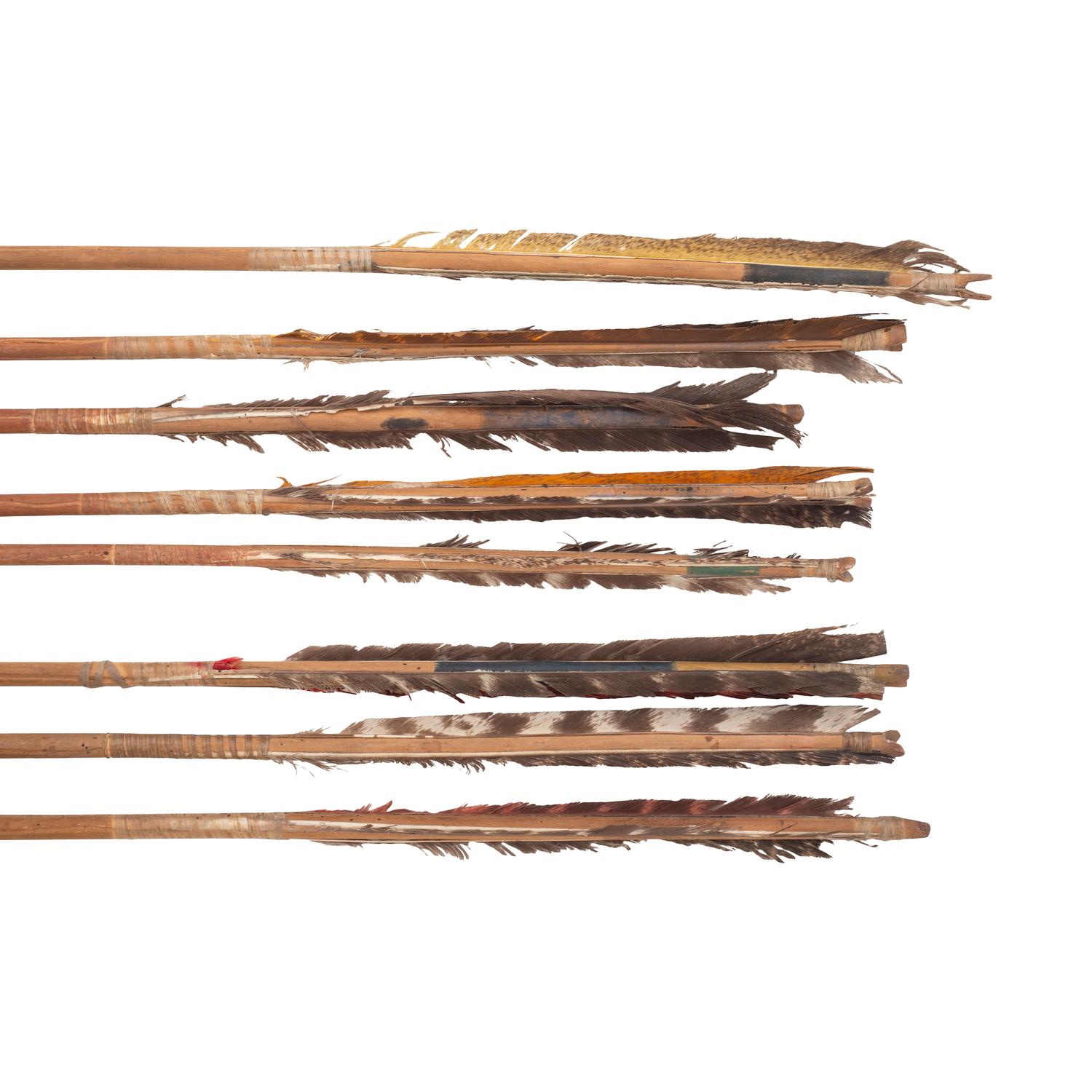 Sioux Painted Bow, with Eight Arrows