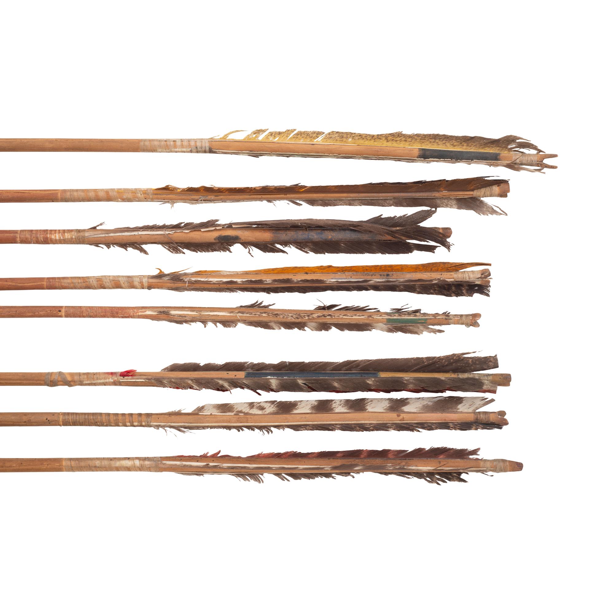 Sioux Painted Bow, with Eight Arrows