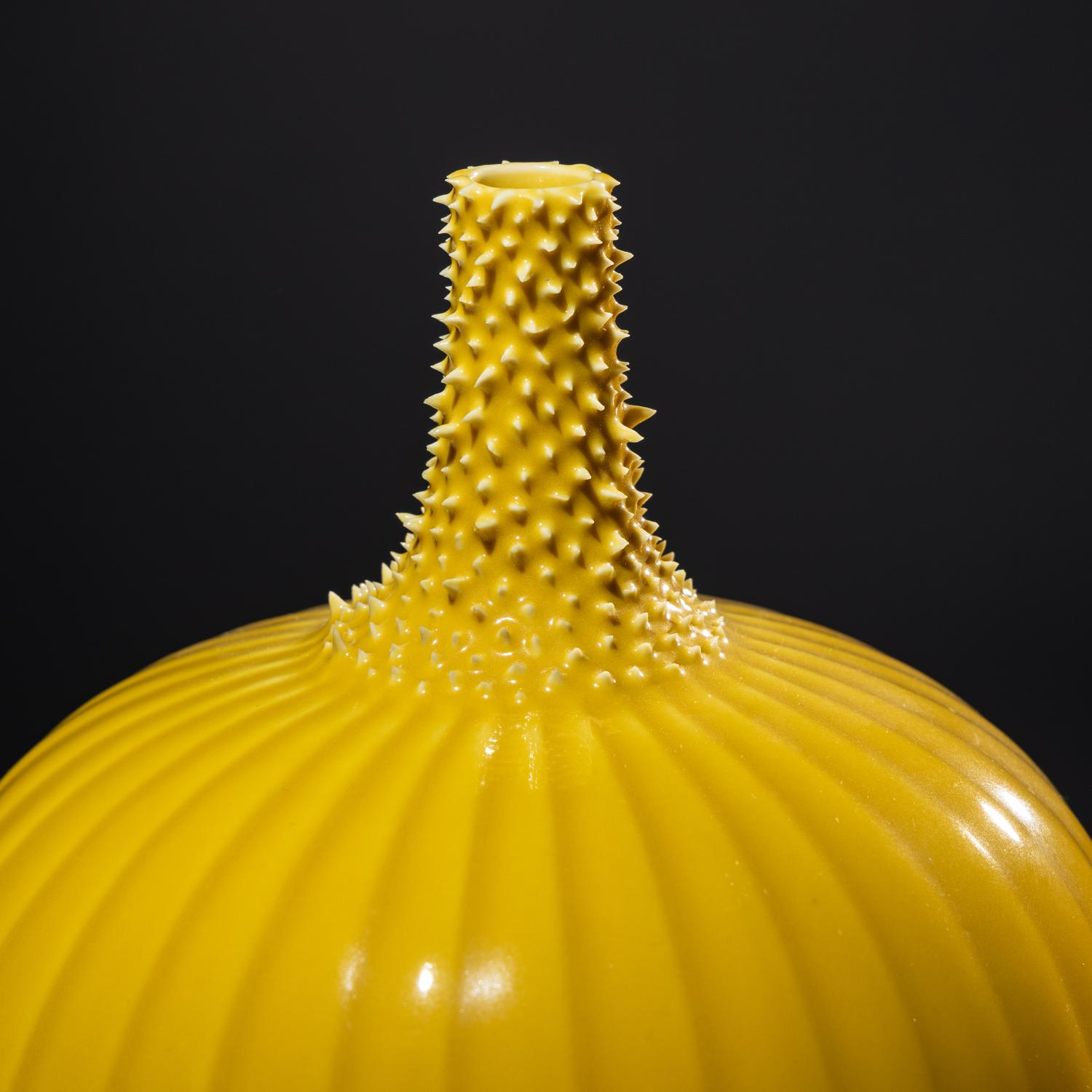 Yellow Prickly Melon Vase, 1996