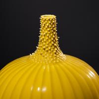 Yellow Prickly Melon Vase, 1996