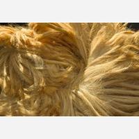 Betty Beaumont (American, b. 1946) "Big Rope" Fiber Sculpture, USA, circa 1972