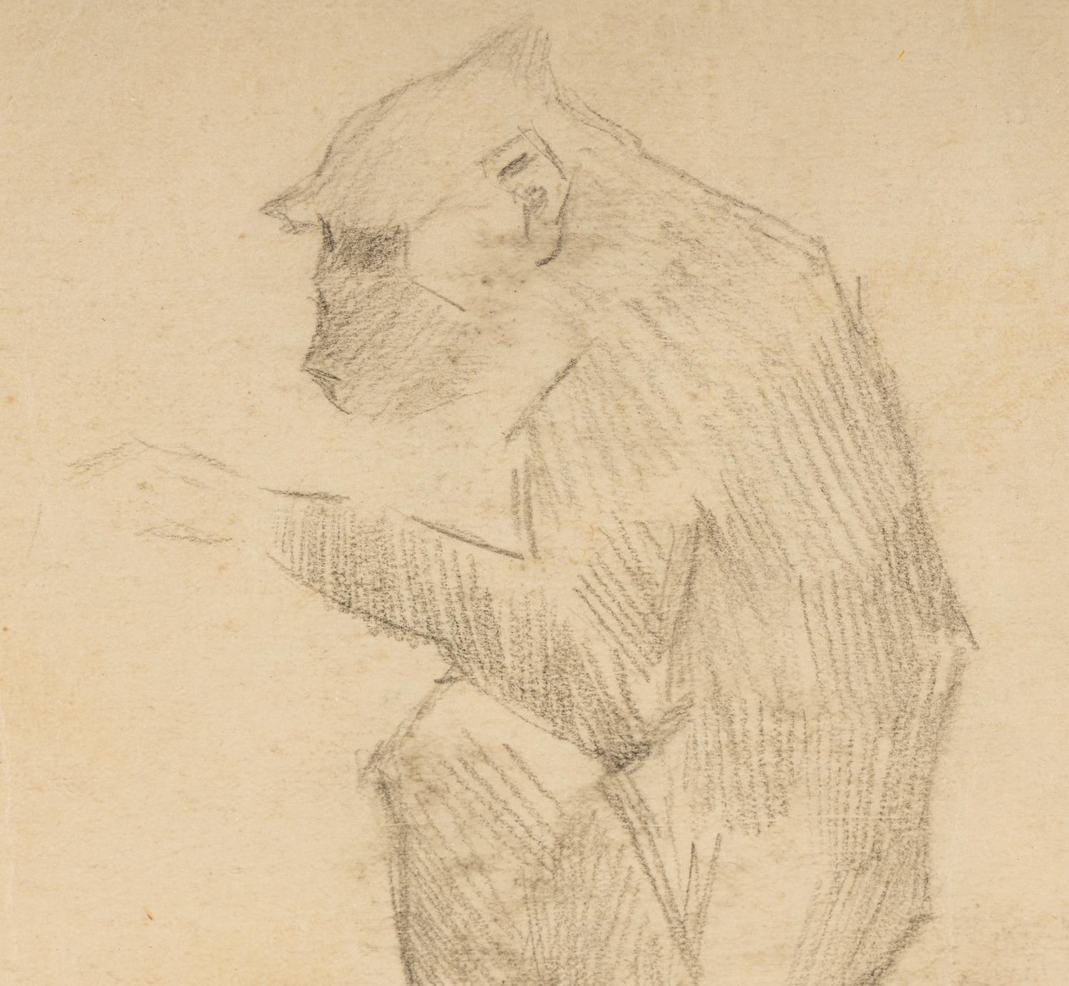 Untitled (Monkey)