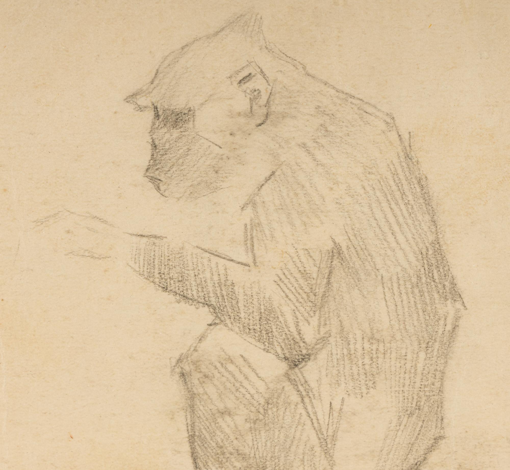 Untitled (Monkey)