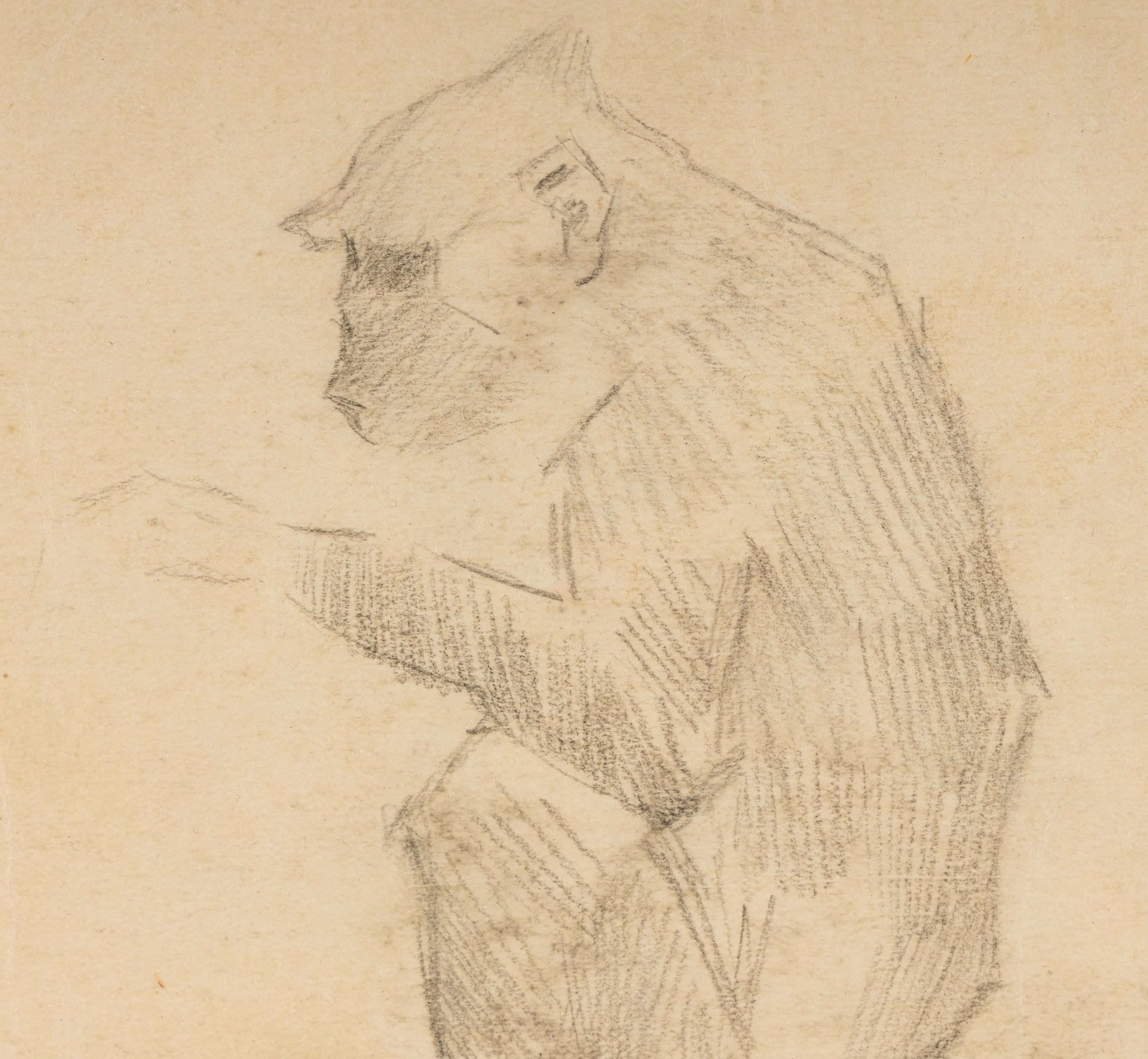 Untitled (Monkey)