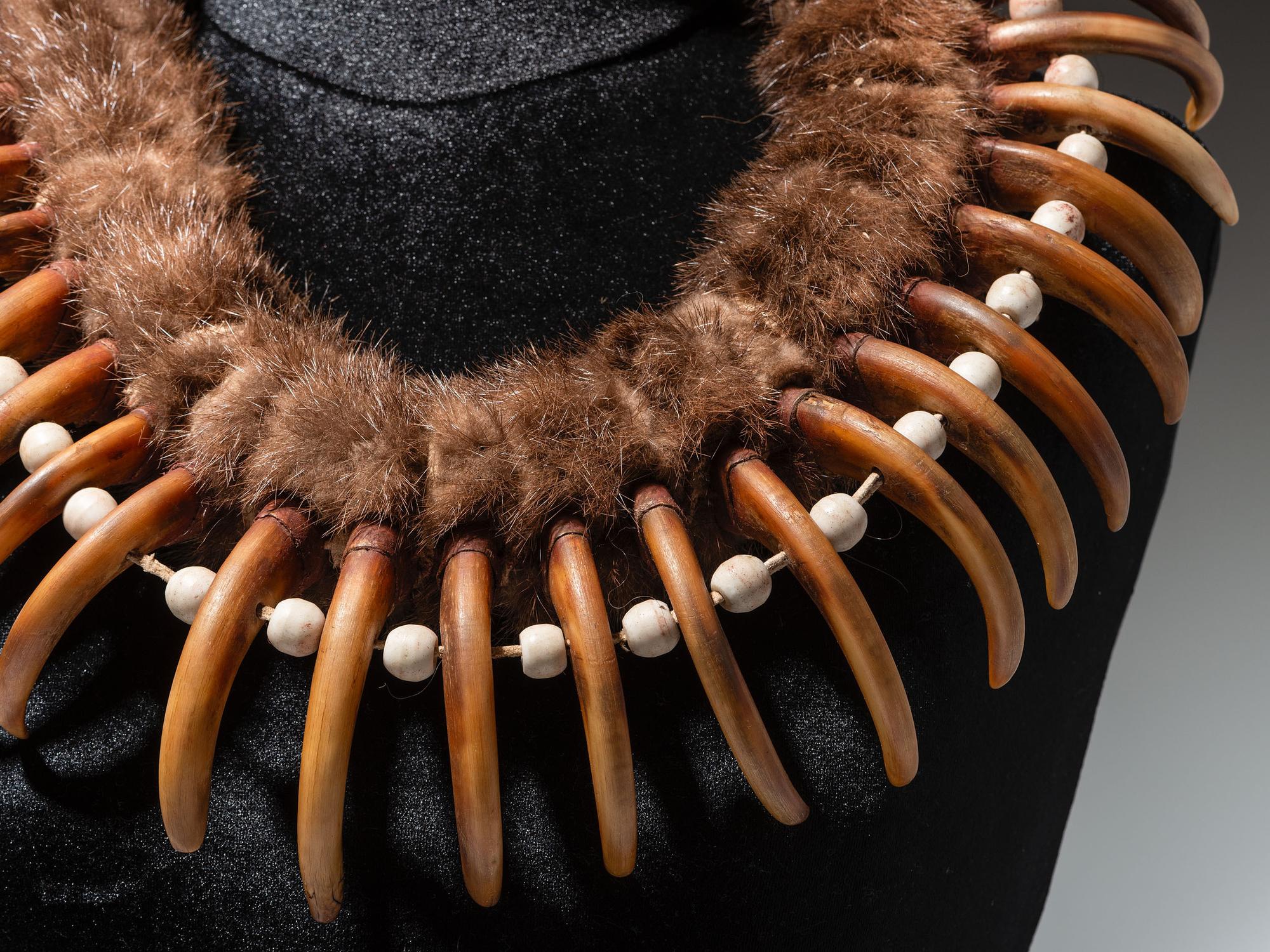Plains Grizzly Claw Necklace