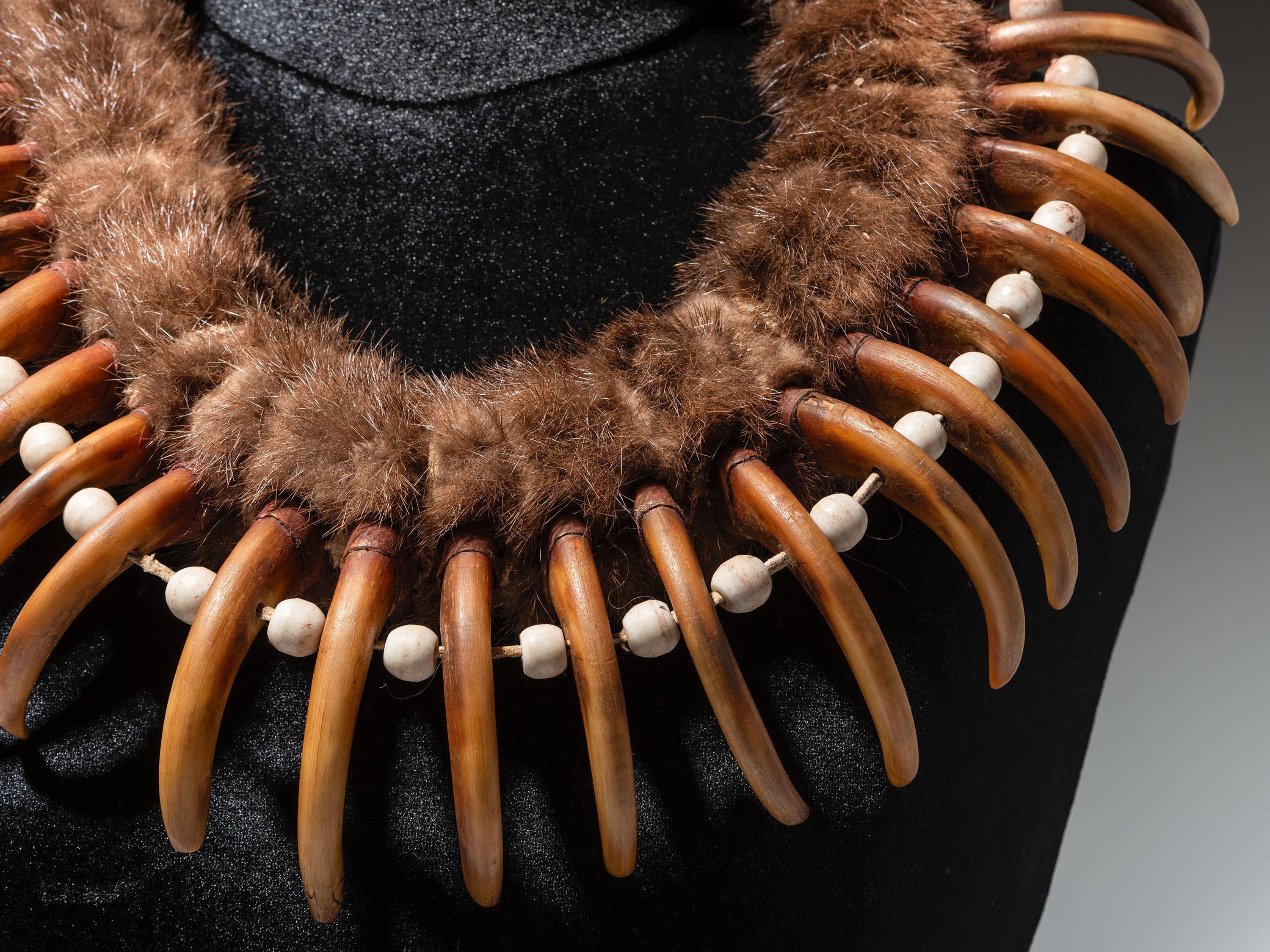 Plains Grizzly Claw Necklace