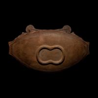 A Tairona Zoomorphic Vessel