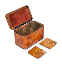 A Regency Tortoise Shell Tea Caddy