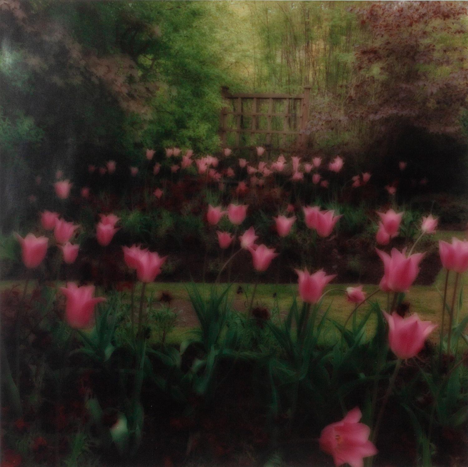 Damme, Belgium and Crathes Castle Garden, Scotland, a group of two works