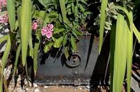 A Pair of Regency Style Iron Framed Zinc Planters with Ring Handles