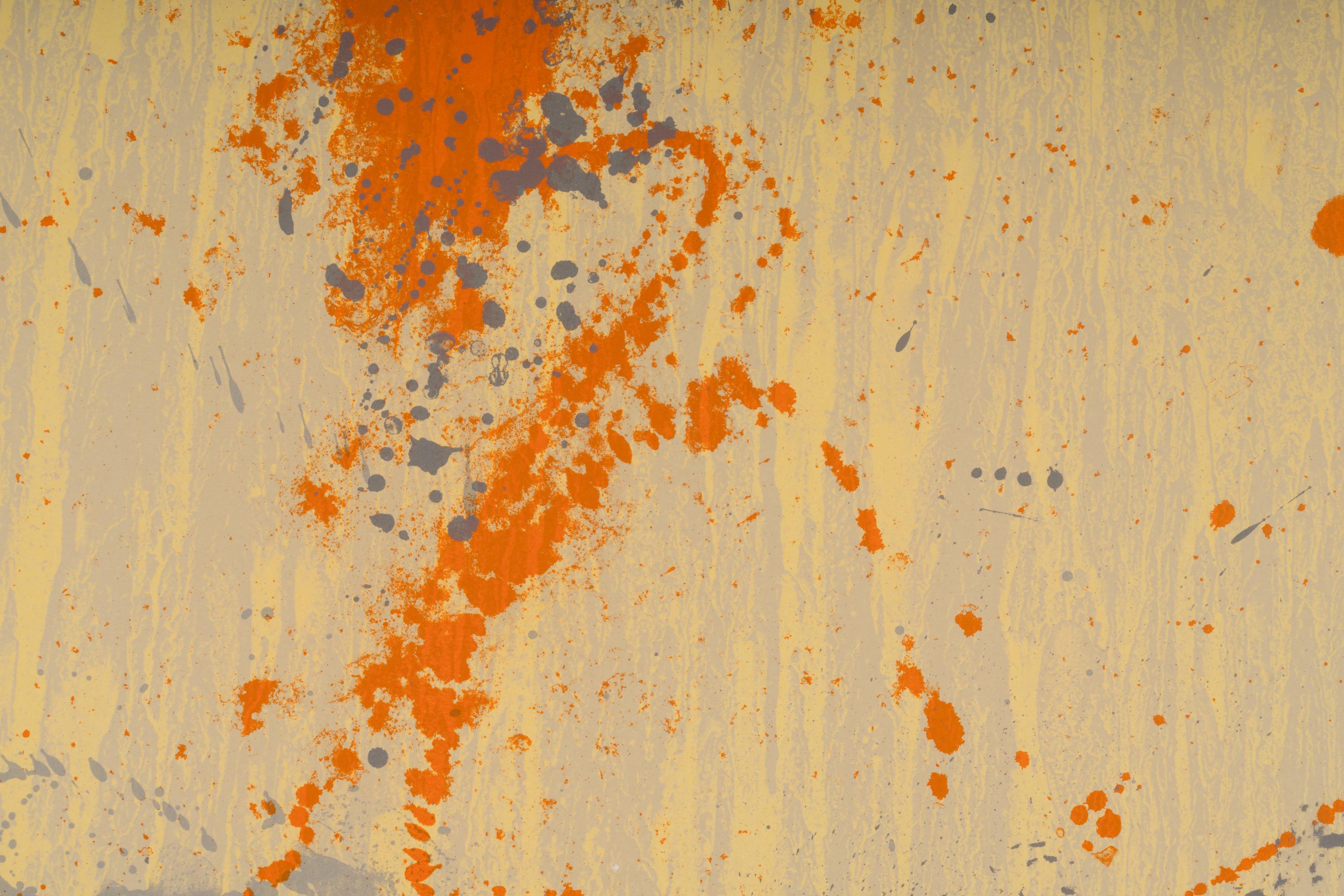 Composition in Light (from the Landfall Press 30th Anniversary portfolio)