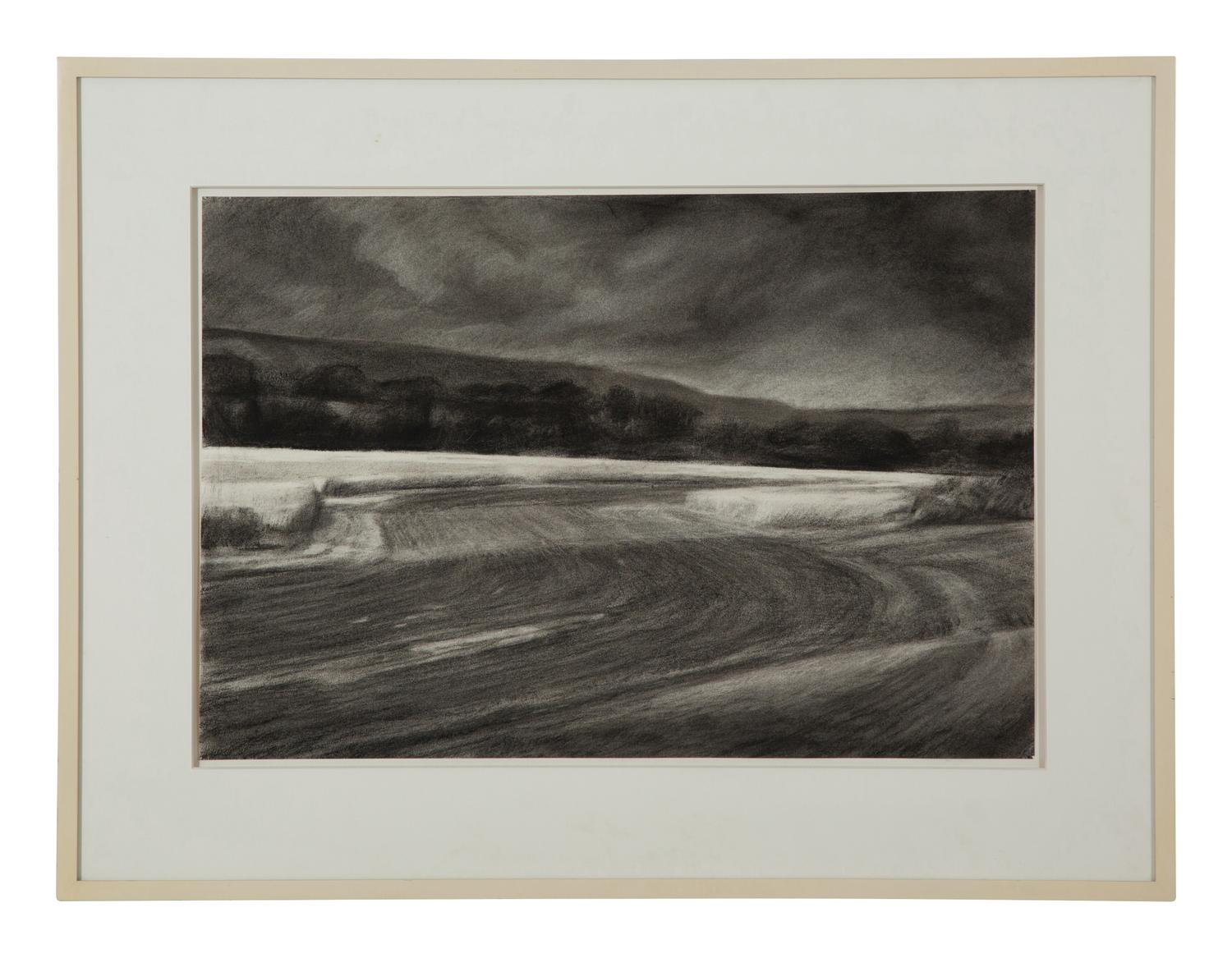 Plowed Field