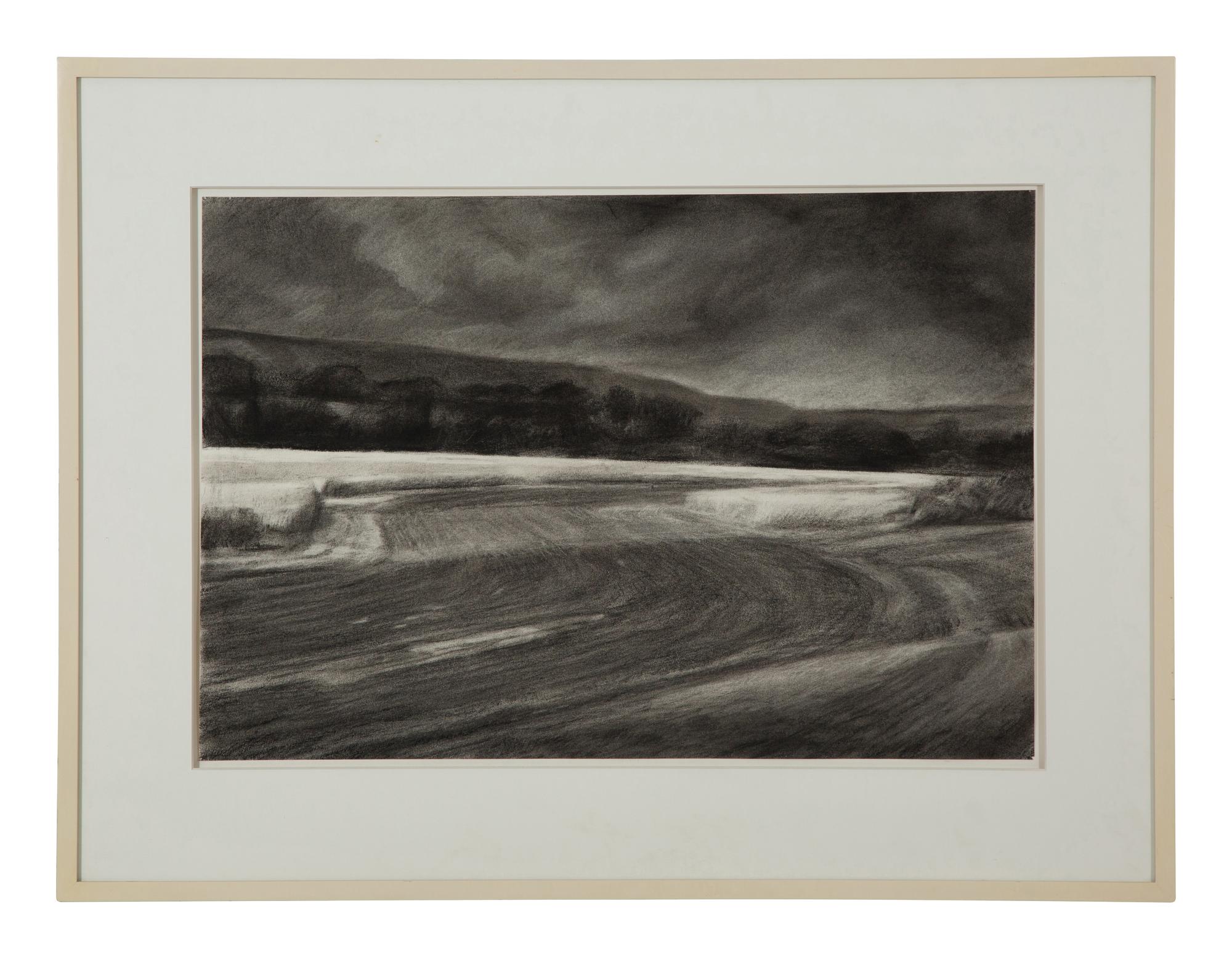 Plowed Field