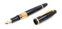 A Nettuno 1911 Limited Edition Fountain Pen and Ink Set