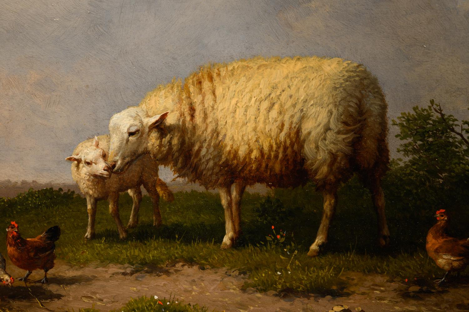 Sheep and Chickens